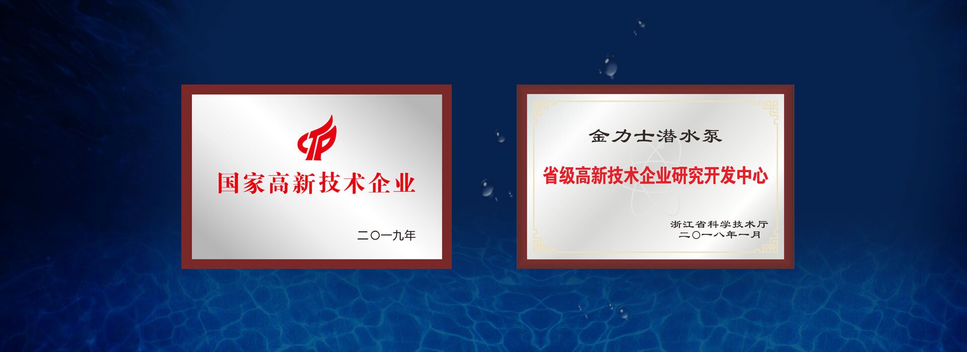 贵港力士霸荣誉证书